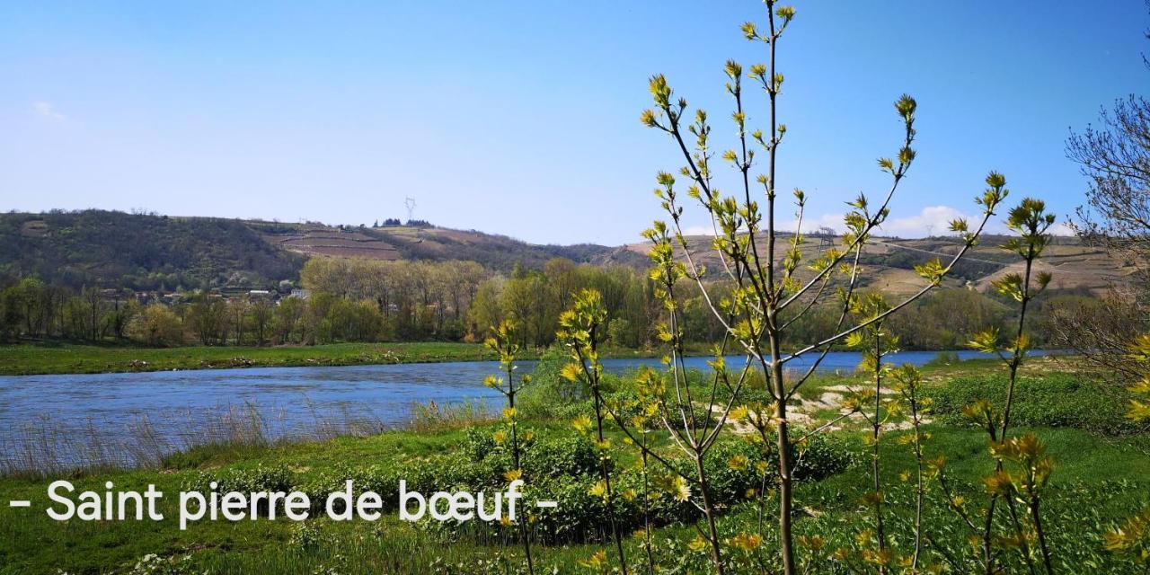 Comme A La Maison Clonas-sur-Vareze Екстер'єр фото